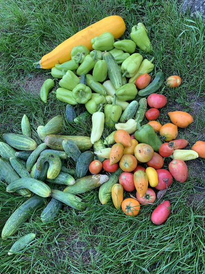 Участок 12 сот. (СНТ, ДНП)