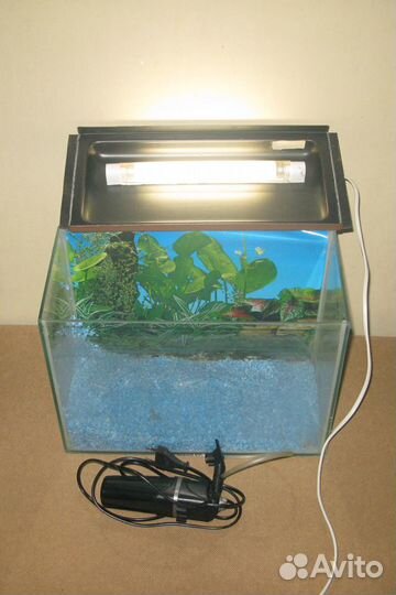 Аквариум