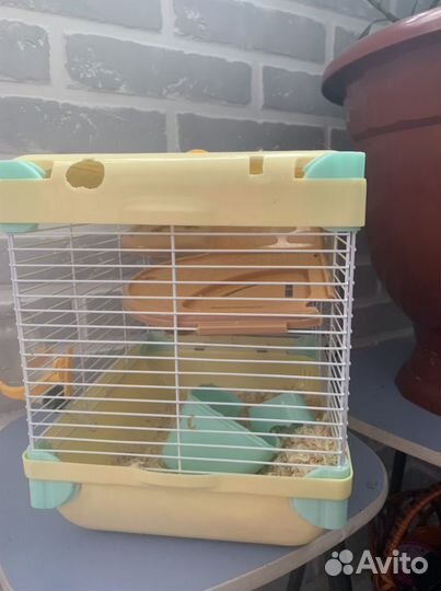 Продвм клетку для мелких животных