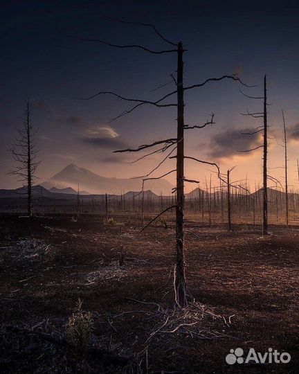 Джип-тур на Плоский Толбачик