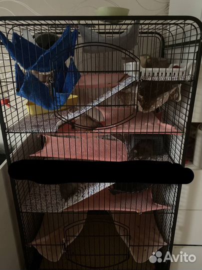 Клетка для грызунов