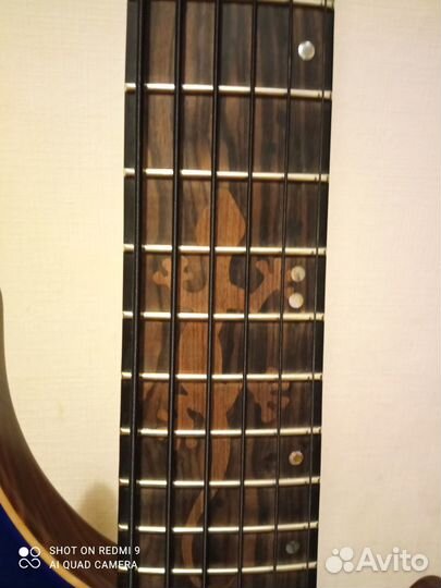 6-ти струнная бас-гитара
