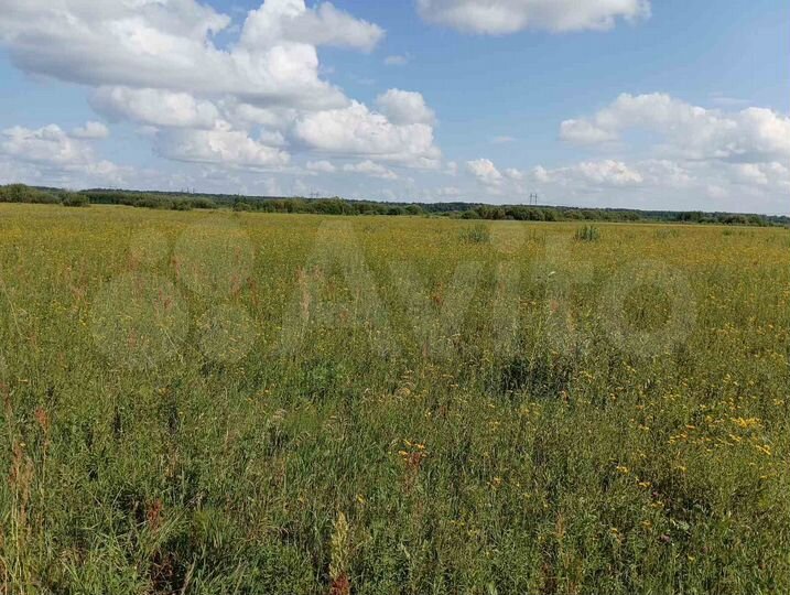 Участок 2,4 га (СНТ, ДНП)