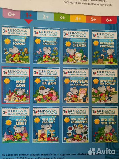 Развивающие книги для детей Школа семи гномов