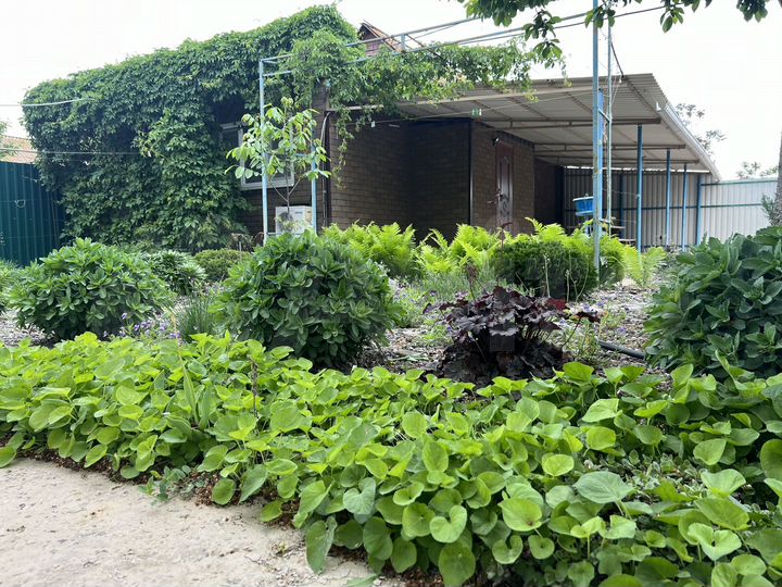 Дом 60 м² на участке 8 сот.