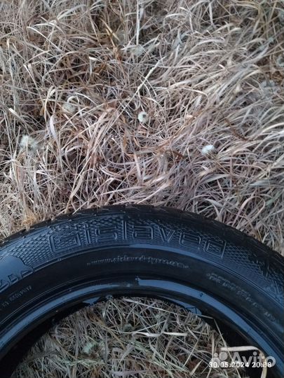 Gislaved Nord Frost 5 185/65 R15