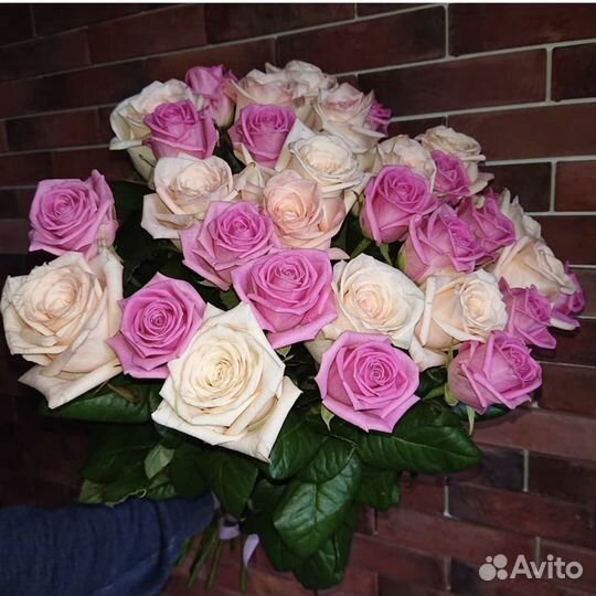 Цветы Розы для девушки