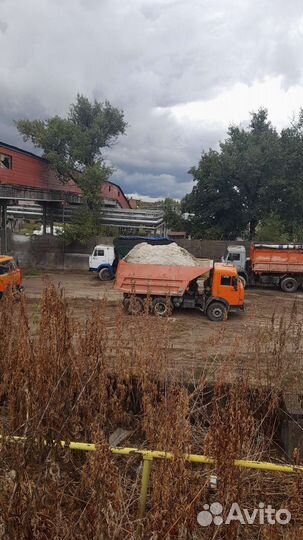 Корма для сельскохозяйственных животных