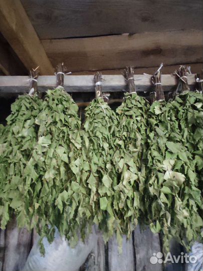 Веники для бани