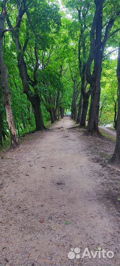 Индивидуальные экскурсии