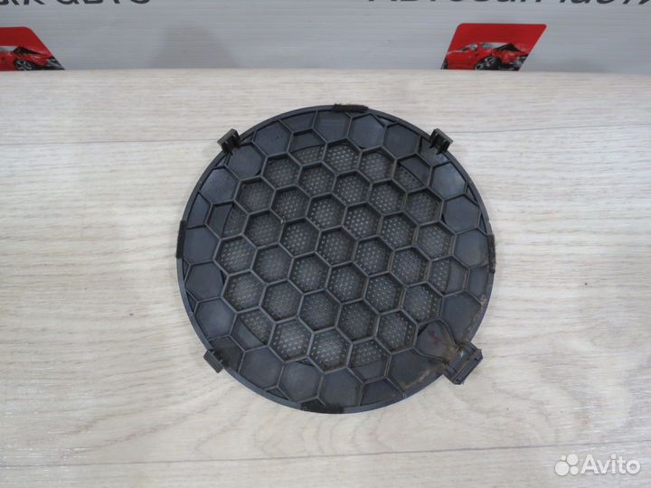 Решетка двери Renault Duster