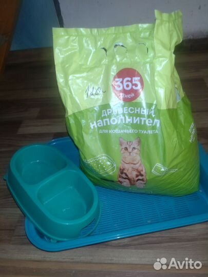 Для котов бесплатно