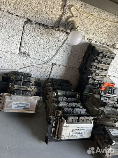 Эбу (мозги) приора