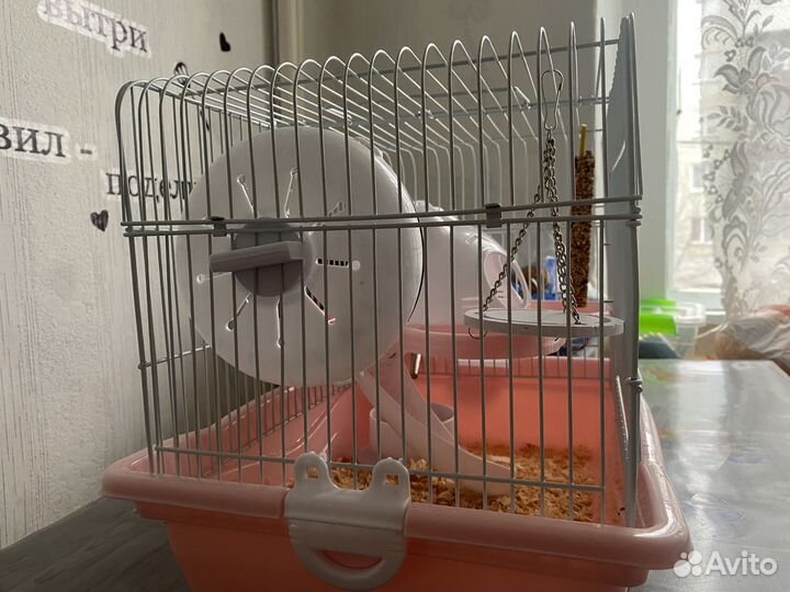 Хомяк с клеткой