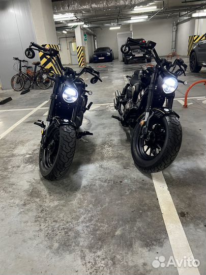 Benda Chinchilla 500