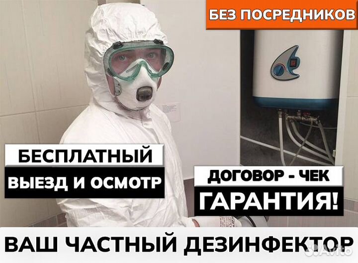 Уничтожение клопов тараканов дезинфекция плесени