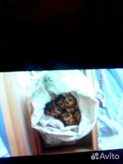 Лото Русское