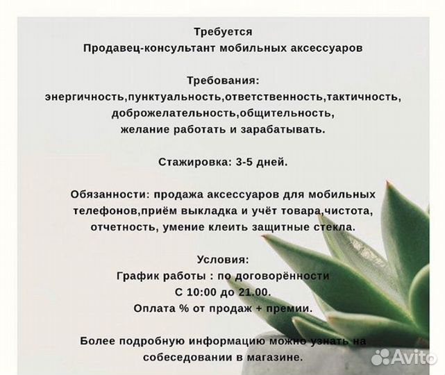 Продавец консультант