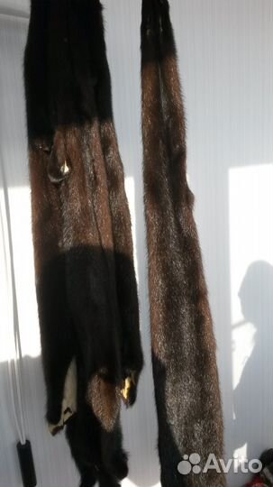 Шкурки меха норки