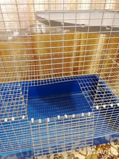 Клетка для грызунов большая