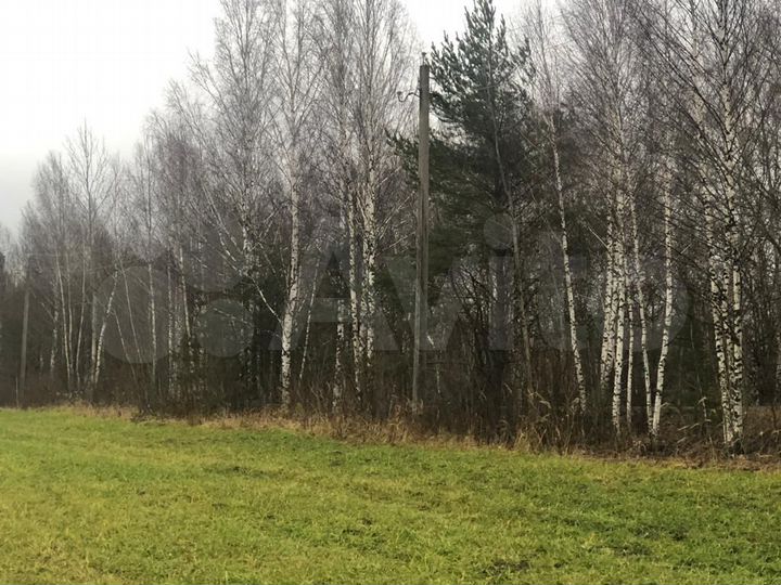 Участок 13,5 га (СНТ, ДНП)