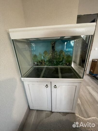 Аквариум 260л