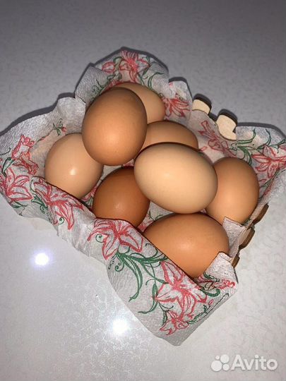 Домашние куриные яйца