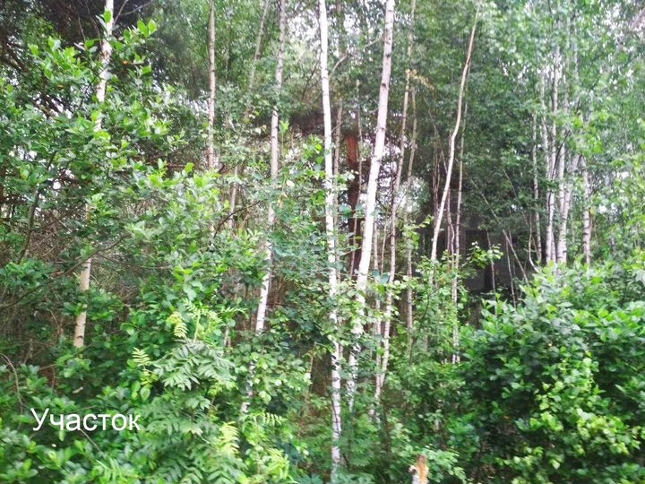 Участок 10 сот. (СНТ, ДНП)