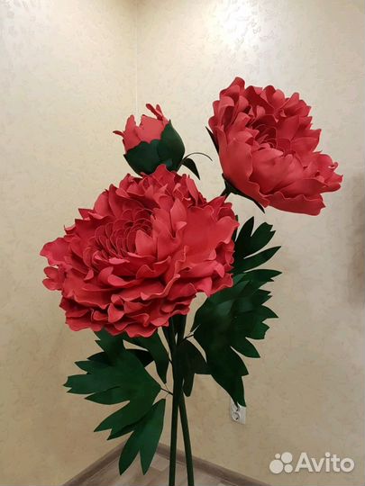 Интерьерные цветы