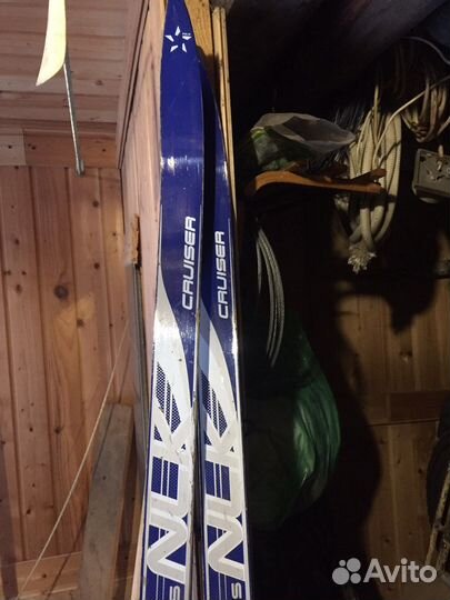 Беговые лыжи