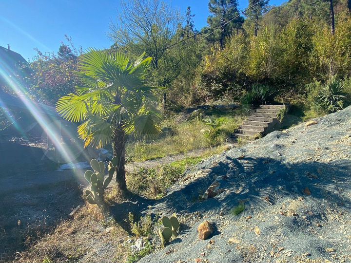 Участок 25 сот. (ИЖС)