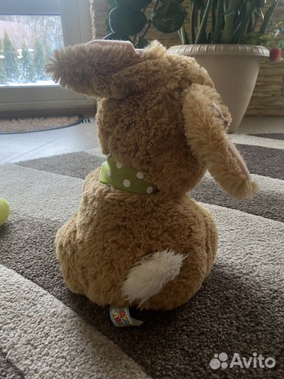 Кролик музыкальный