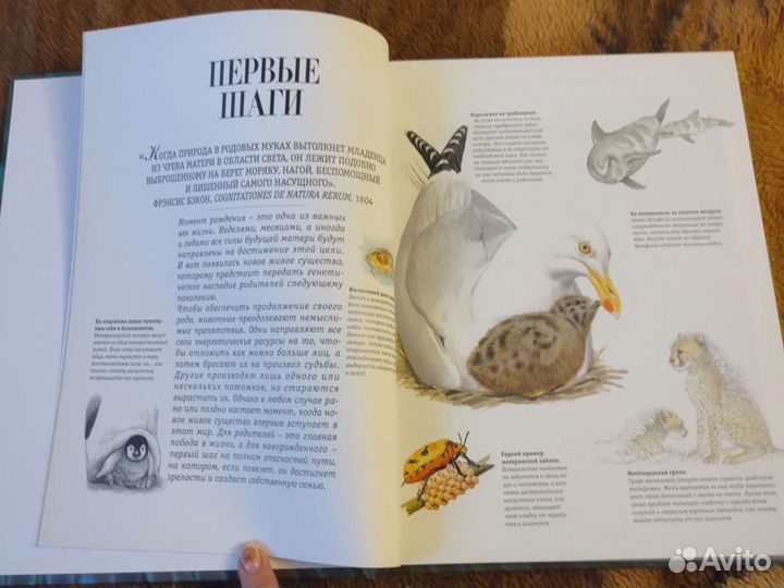 Секреты Природы