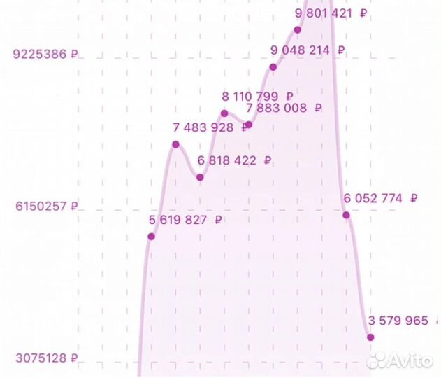 Прибыльный пвз Wilberries на севере спб