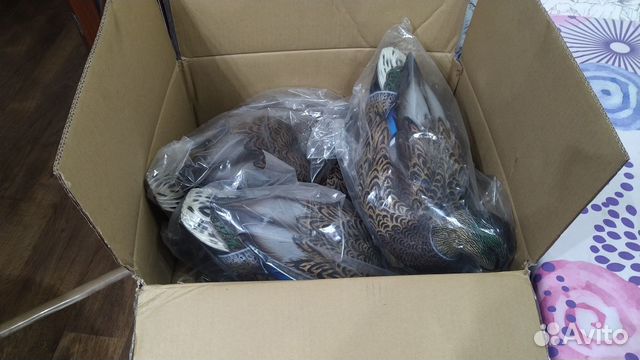 Чучела кряквы Avian-X