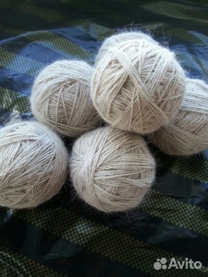 Собачья шерсть