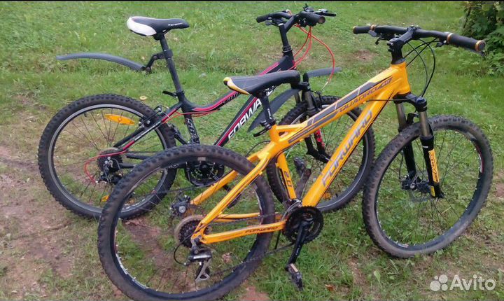 Forward Quadro 3.0, форвард 2.0, форвард 