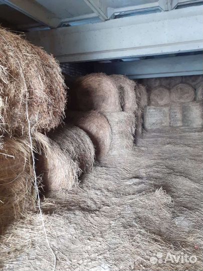 Сено солома в рулонах