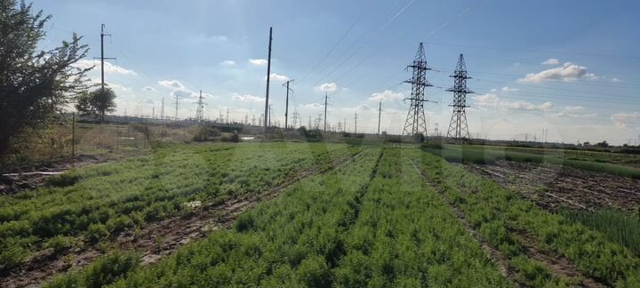 Участок 36 сот. (СНТ, ДНП)