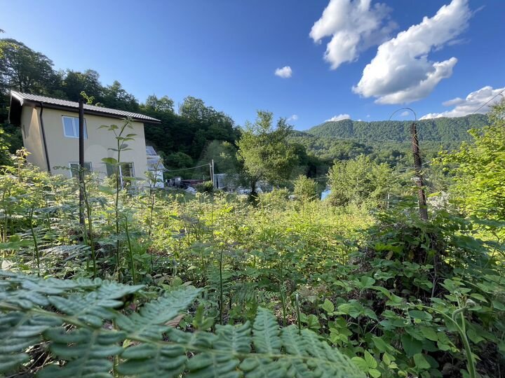 Участок 3,1 сот. (СНТ, ДНП)