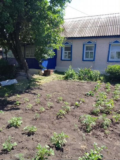 Дом 53,3 м² на участке 12 сот.