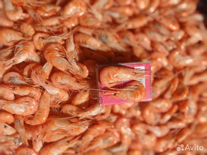 Азовская креветка