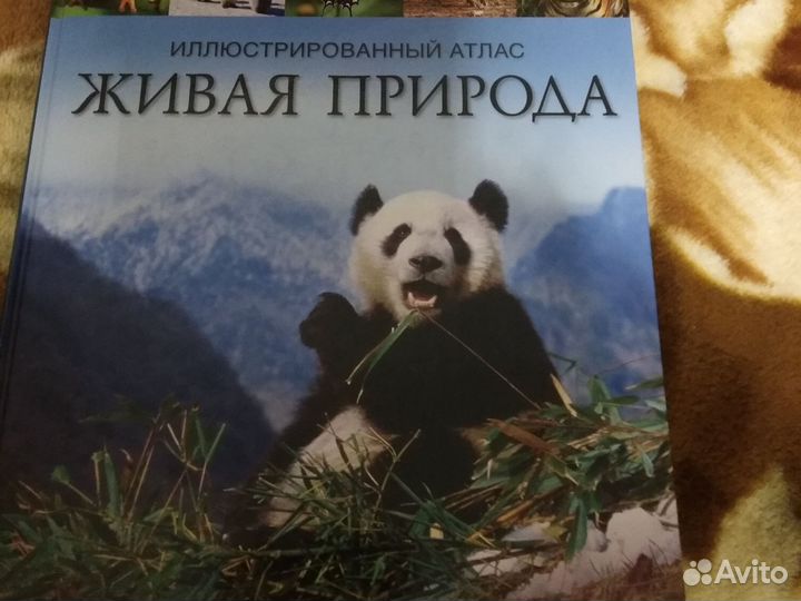 Познавательна книга для детей 5 лет