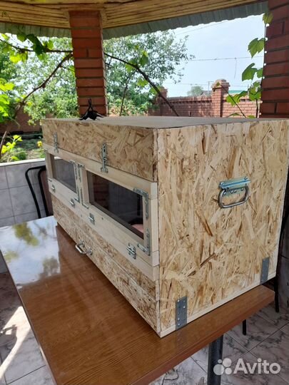 Брудер для цыплят, утят, индюшат