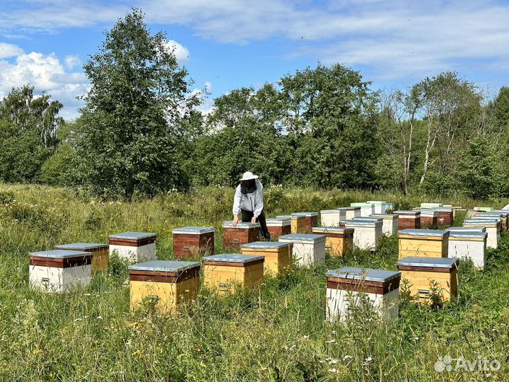 Мед натуральный