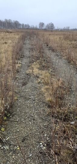 Участок 10 сот. (СНТ, ДНП)