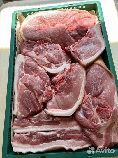 Мясо свинина