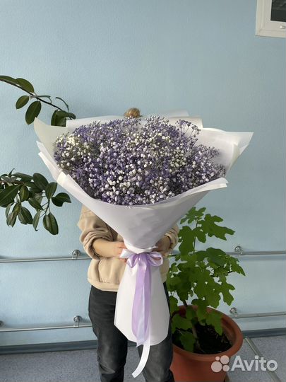 Букет гипсофила