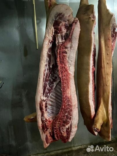 Мясо свинина домашняя