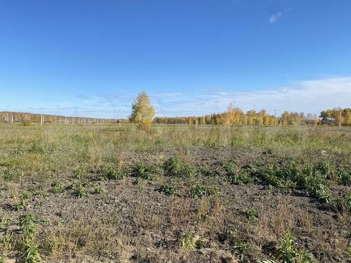 Участок 15,1 сот. (СНТ, ДНП)
